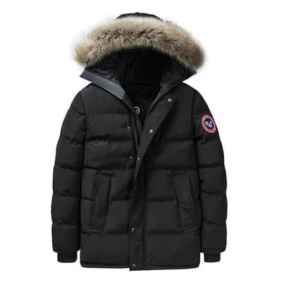 Canada Goose