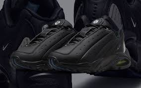 Nike Air Terra hot step